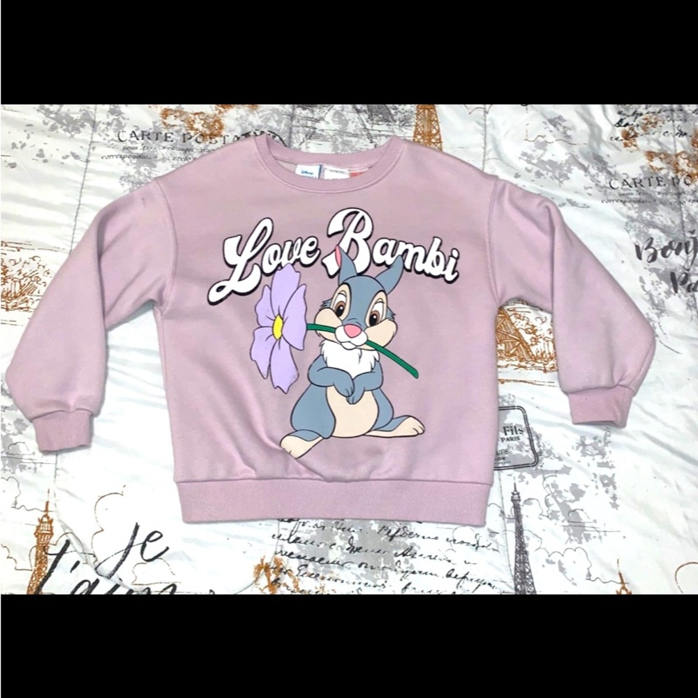 Zara Disney Classics Bambi sweatshirt